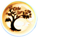 Logo-Acacia-Cafe